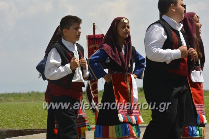 alexandriamou.gr_trikala28.5.2018146